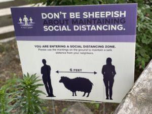 Don't Be Sheepish Social Distance Sign